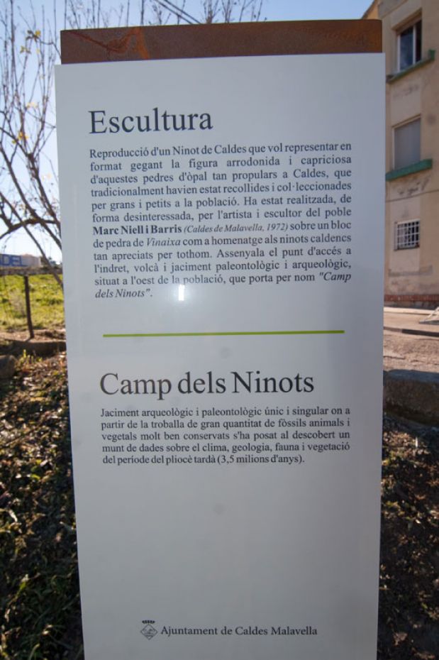 1419775202inauguracio-escultura-camp-dels-ninots-caldes-de-malavella-8.jpg