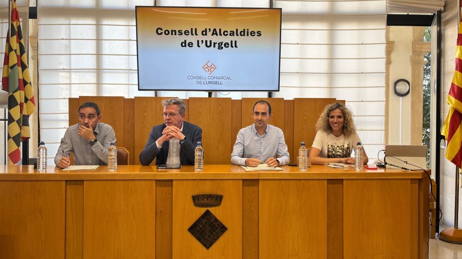 1720089644consell_urgell2.jpg