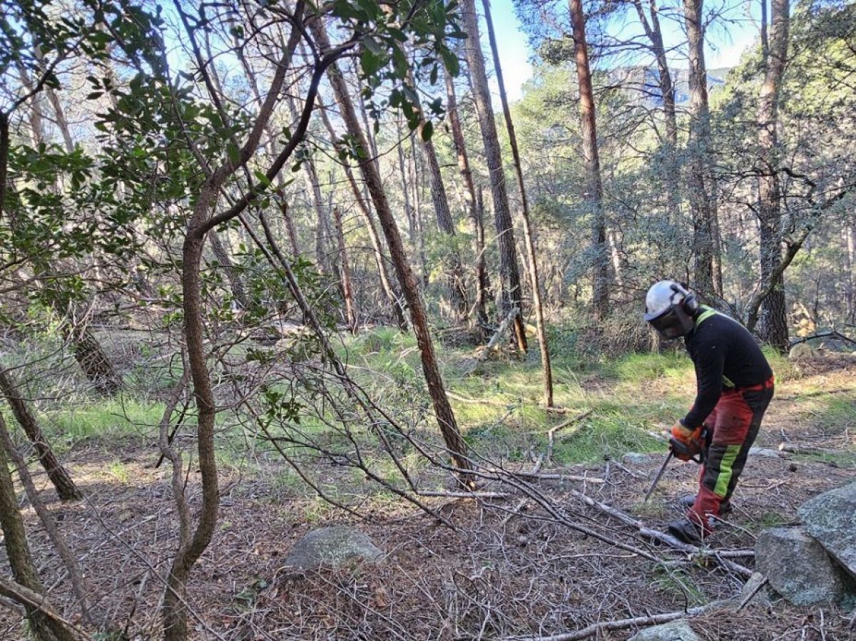 La Diputació de Tarragona inicia els treballs forestals que permetran la creació d’àrees per a la prevenció de grans incendis a les Muntanyes de Prades