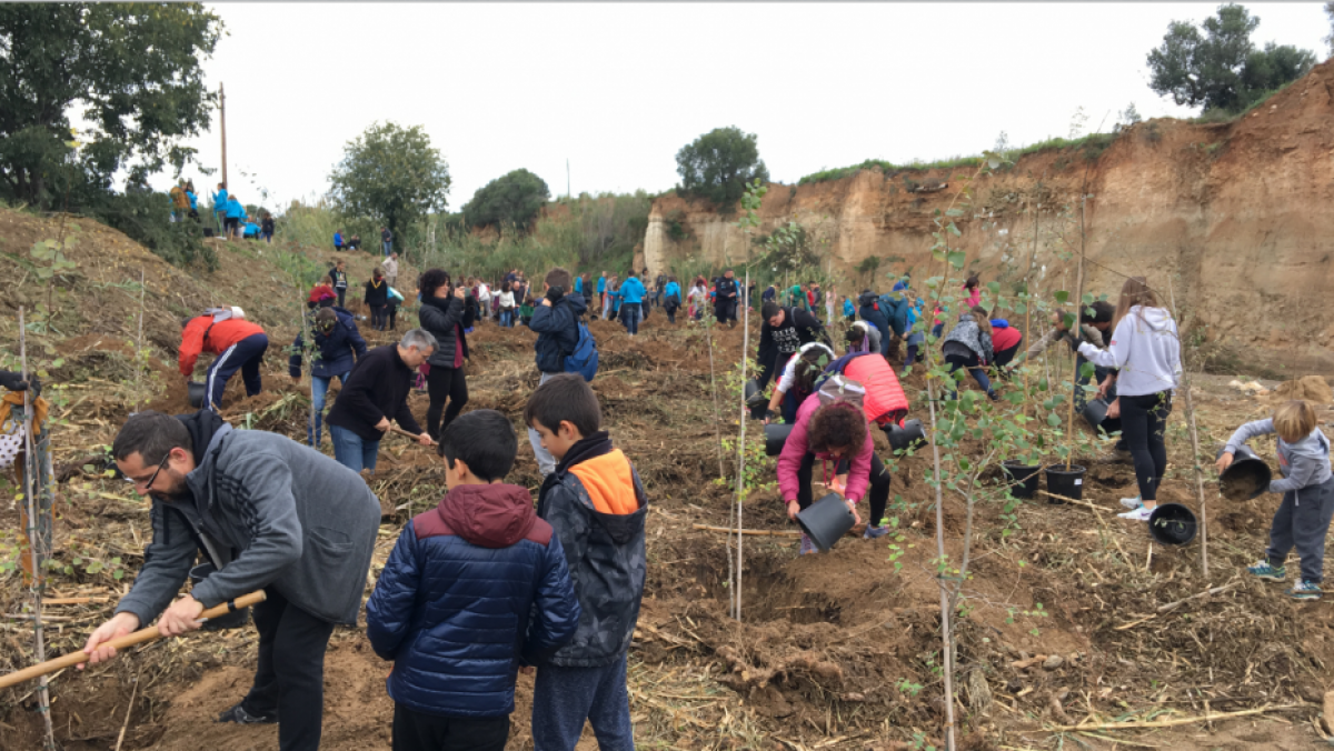 La Canonja organitza una plantada popular a la Riera de la Boella