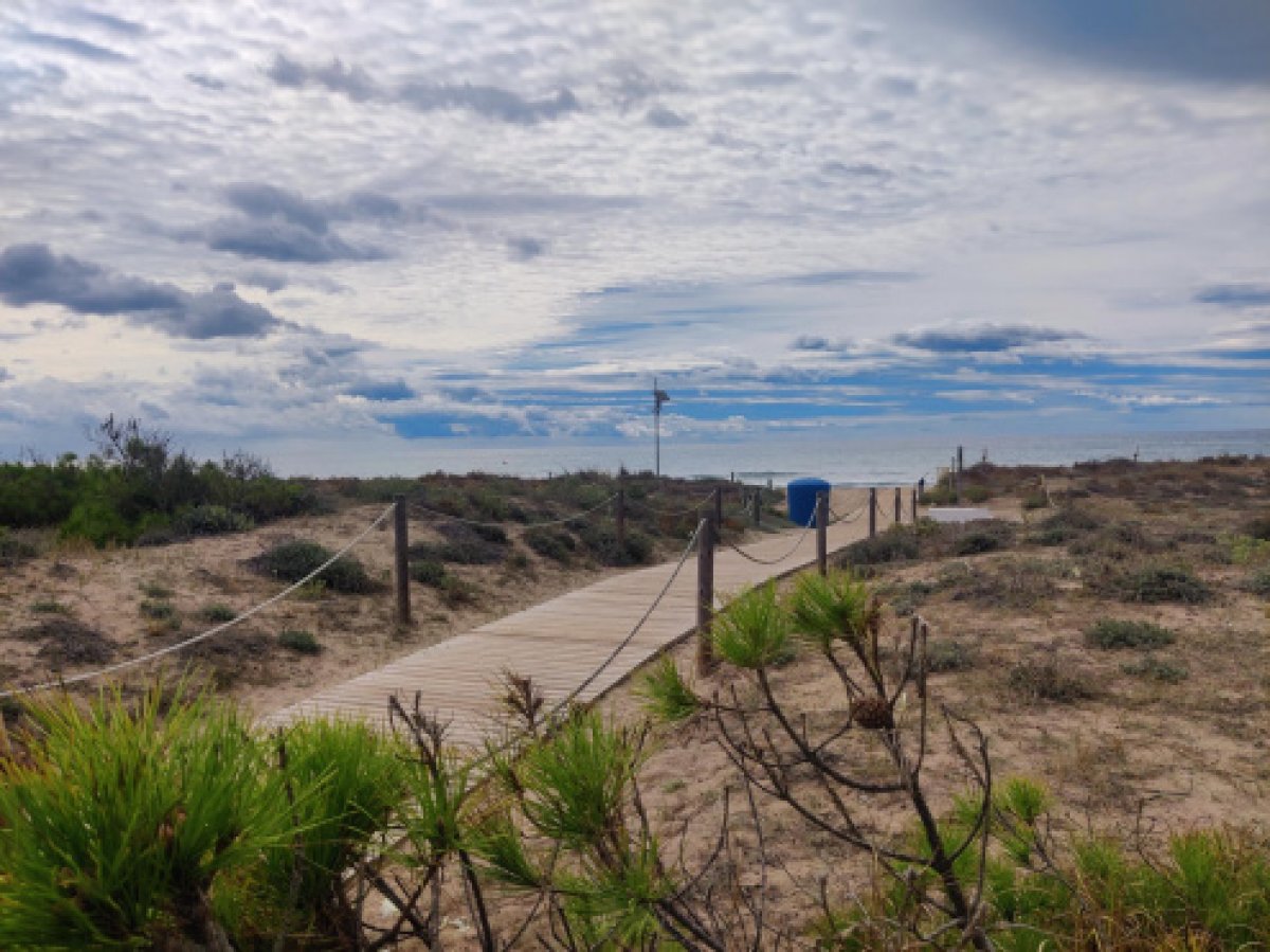 El Prat inaugura un mirador que permet observar flamencs en el marc d'un pla per fomentar el turisme sostenible al delta del Llobregat